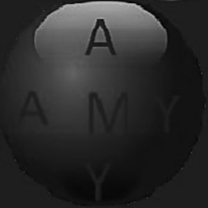 Amygws (AMY)