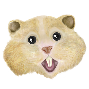 HamsterCoin (HAMS)